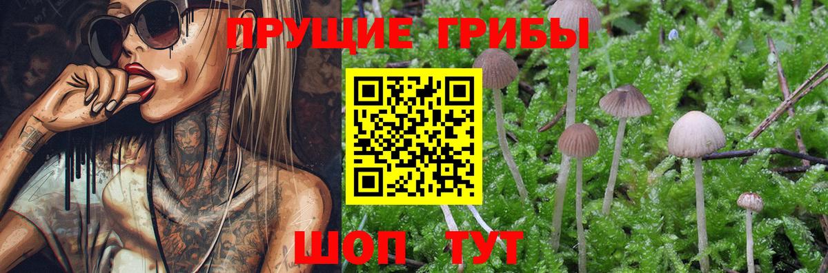 Галлюциногенные грибы Magic Shrooms Можга